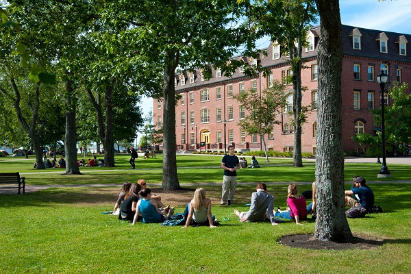 Découvrez le Collège de l'Île – Votre Porte d'Entrée vers le Canada
